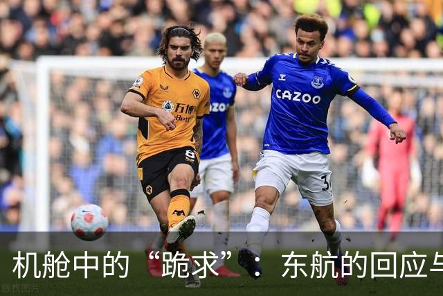 机舱中的“跪求”：东航的回应与隐秘真相