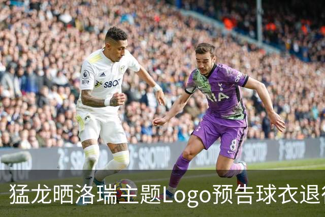 猛龙晒洛瑞主题Logo预告球衣退役，40岁队史第一人7号或将高悬球馆